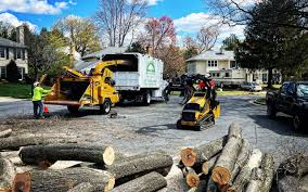 Reliable Chanhassen, MN Tree Removal and Landscaping Services Solutions